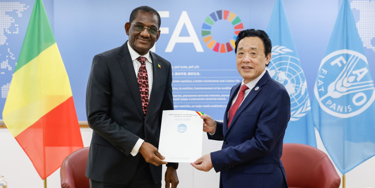 Drapeaux du Mali et de la FAO lors d’une rencontre diplomatique à Rome